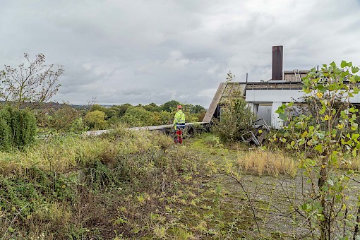 Natur erobert Gebäude zurück