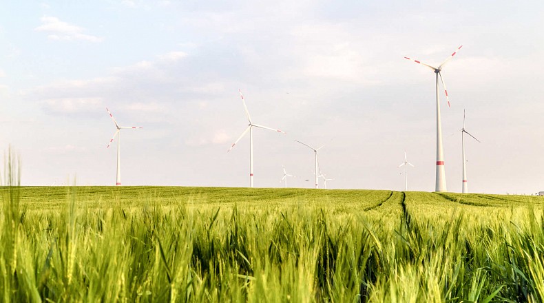Windräder und Weizenfeld
